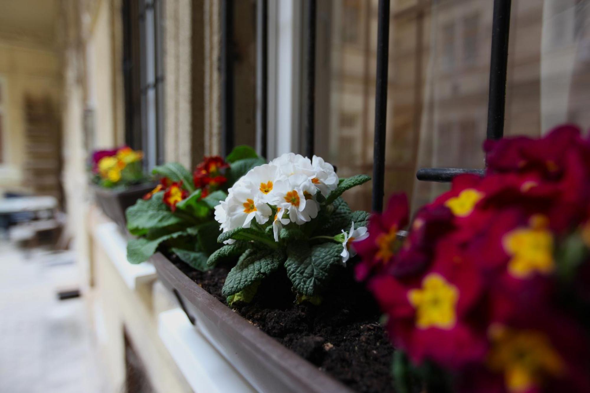 Goldcentral Apartment Danube Budapest Exterior foto